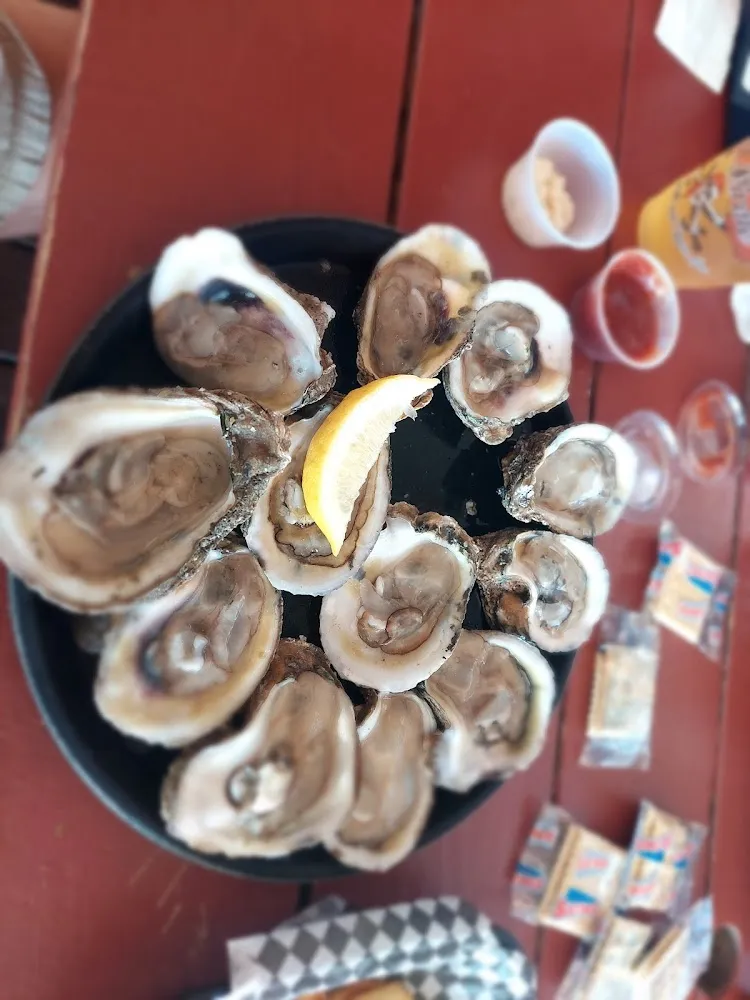 Raw Oysters Dozen